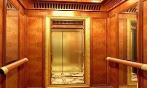 �����ճ�ά�������г������⼰�����������Щ��