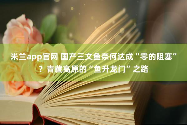 米兰app官网 国产三文鱼奈何达成“零的阻塞”？青藏高原的“鱼升龙门”之路