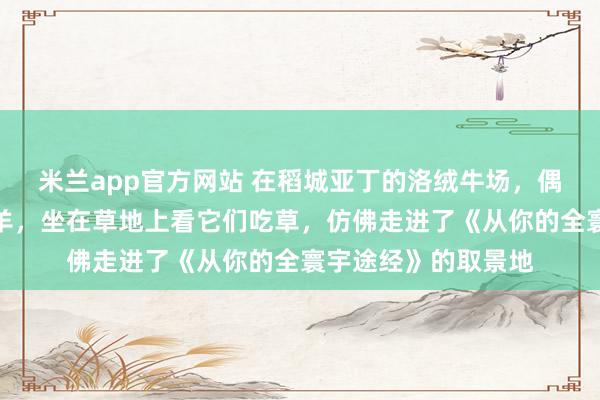 米兰app官方网站 在稻城亚丁的洛绒牛场，偶遇了一群野生的岩羊，坐在草地上看它们吃草，仿佛走进了《从你的全寰宇途经》的取景地